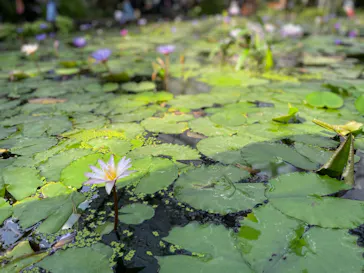 神戸どうぶつ王国に投稿された画像（2021/11/21）