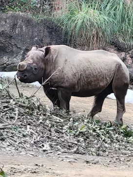 天王寺動物園に投稿された画像（2021/11/21）