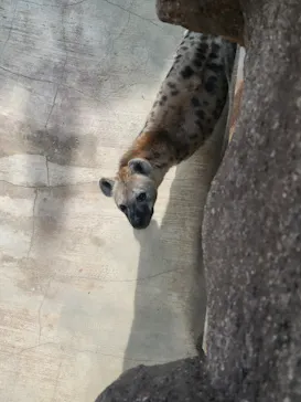 天王寺動物園に投稿された画像（2021/11/21）