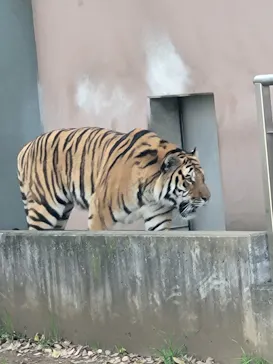 天王寺動物園に投稿された画像（2021/11/21）