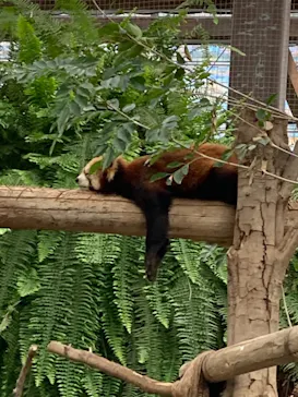 神戸どうぶつ王国に投稿された画像（2021/11/21）