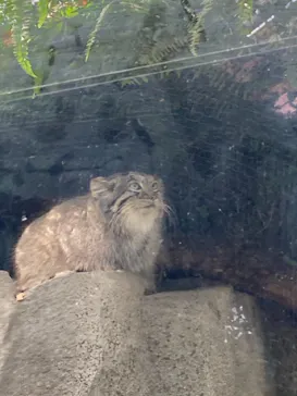 神戸どうぶつ王国に投稿された画像（2021/11/21）