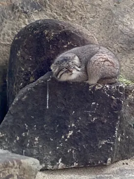 神戸どうぶつ王国に投稿された画像（2021/11/21）