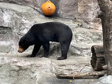 天王寺動物園に投稿された画像（2021/11/21）