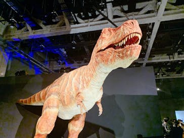 ティラノサウルス展 ～Ｔ. rex 驚異の肉食恐竜～（名古屋市科学館）に投稿された画像（2021/11/21）