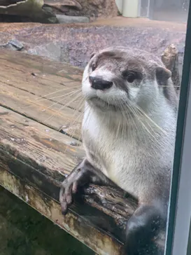 仙台うみの杜水族館に投稿された画像（2021/11/21）