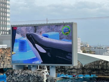 名古屋港水族館に投稿された画像（2021/11/21）