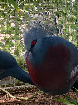 神戸どうぶつ王国に投稿された画像（2021/11/21）