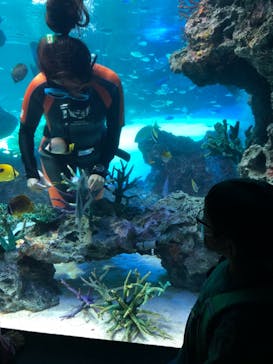 サンシャイン水族館に投稿された画像（2021/11/21）