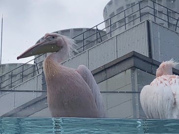 サンシャイン水族館に投稿された画像（2021/11/21）