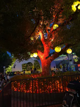 ひらかたパークに投稿された画像（2021/11/21）