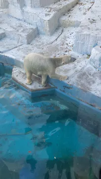 天王寺動物園に投稿された画像（2021/11/21）