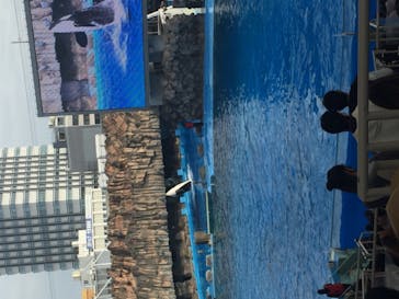 名古屋港水族館に投稿された画像（2021/11/21）