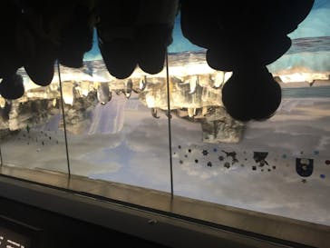 名古屋港水族館に投稿された画像（2021/11/21）