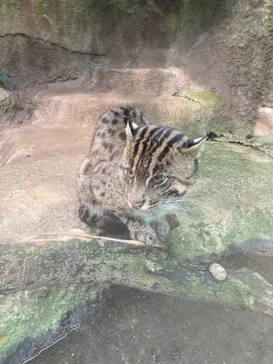 神戸どうぶつ王国に投稿された画像（2021/11/21）