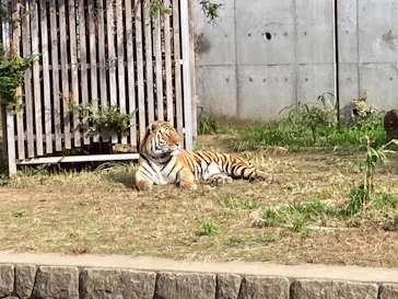 天王寺動物園に投稿された画像（2021/11/21）