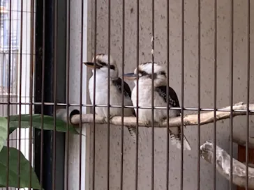 天王寺動物園に投稿された画像（2021/11/21）