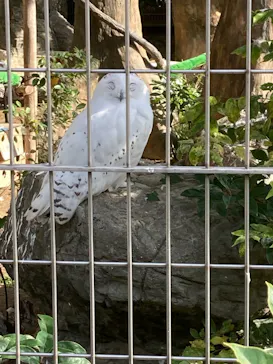 天王寺動物園に投稿された画像（2021/11/21）