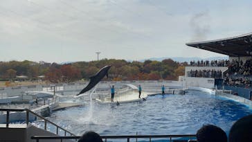 京都水族館に投稿された画像（2021/11/21）