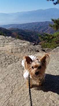 昇仙峡ロープウェイに投稿された画像（2021/11/21）