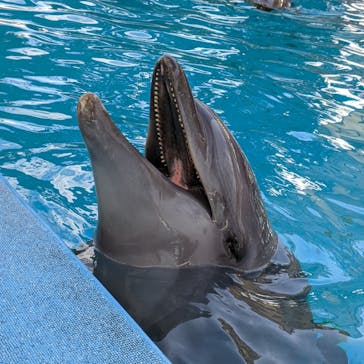 南知多ビーチランド＆南知多おもちゃ王国に投稿された画像（2021/11/21）