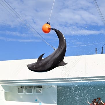 南知多ビーチランド＆南知多おもちゃ王国に投稿された画像（2021/11/21）