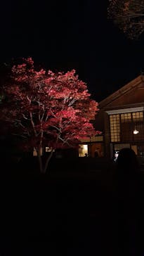 江戸東京たてもの園に投稿された画像（2021/11/21）