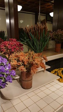 江戸東京たてもの園に投稿された画像（2021/11/21）