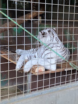 しろとり動物園に投稿された画像（2021/11/21）