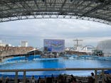 名古屋港水族館に投稿された画像（2021/11/21）
