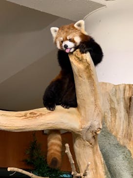 ネオパークオキナワに投稿された画像（2021/11/21）