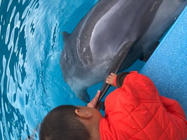 南知多ビーチランド＆南知多おもちゃ王国に投稿された画像（2021/11/21）