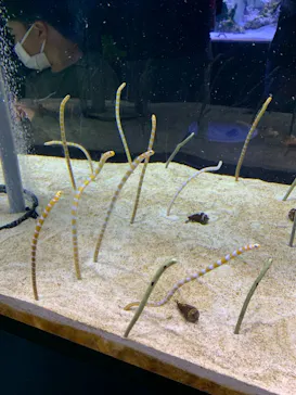 すみだ水族館に投稿された画像（2021/11/21）