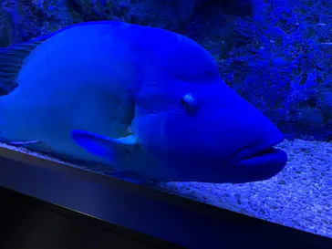 すみだ水族館に投稿された画像（2021/11/21）