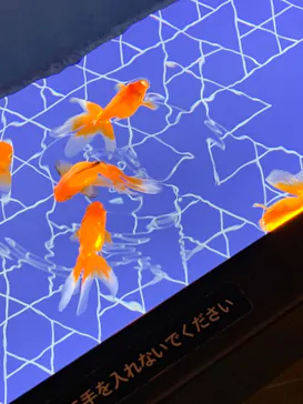 すみだ水族館に投稿された画像（2021/11/21）