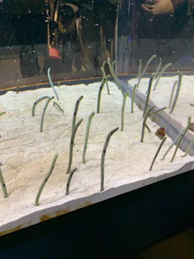 すみだ水族館に投稿された画像（2021/11/21）