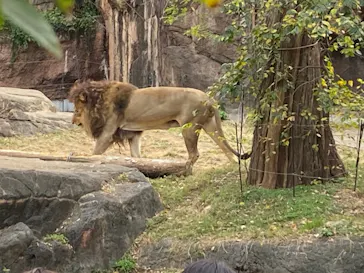 天王寺動物園に投稿された画像（2021/11/21）