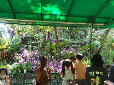 ビオスの丘に投稿された画像（2021/11/21）