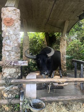 ビオスの丘に投稿された画像（2021/11/21）