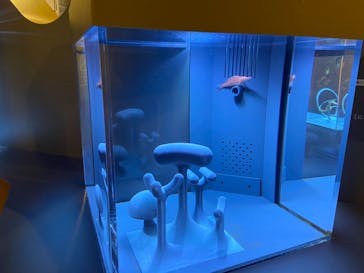 京都鉄道博物館×京都水族館に投稿された画像（2021/11/21）