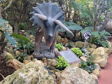 ナゴパイナップルパークに投稿された画像（2021/11/21）