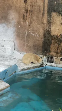 天王寺動物園に投稿された画像（2021/11/21）