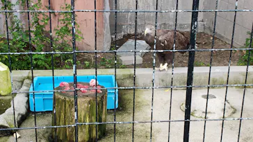 天王寺動物園に投稿された画像（2021/11/21）