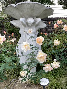 ひらかたパークに投稿された画像（2021/11/21）