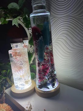 ずこうしつ〜sugamo〜に投稿された画像（2021/11/21）