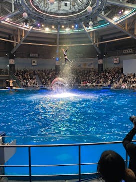 マクセル アクアパーク品川に投稿された画像（2021/11/21）