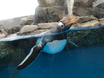 仙台うみの杜水族館に投稿された画像（2021/11/21）