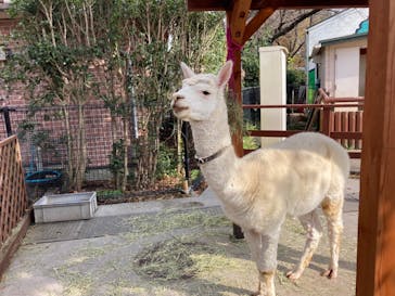 東武動物公園に投稿された画像（2021/11/21）