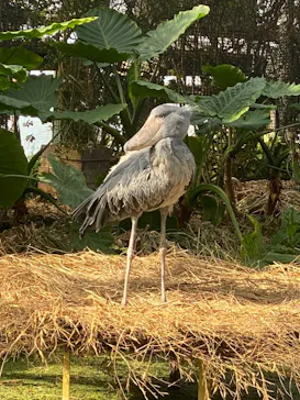 神戸どうぶつ王国に投稿された画像（2021/11/21）