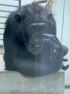 沖縄こどもの国に投稿された画像（2021/11/21）